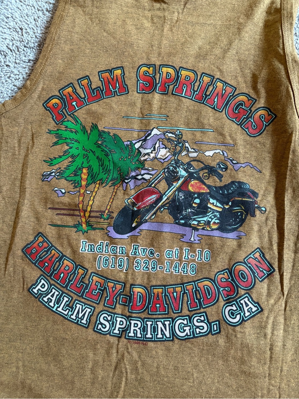 Harley-Davidson Palm Springs Graphic Tank Top - Brown